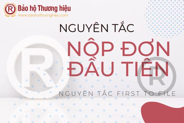 Nguyên tắc nộp đơn đầu tiên trong bảo hộ quyền sở hữu trí tuệ